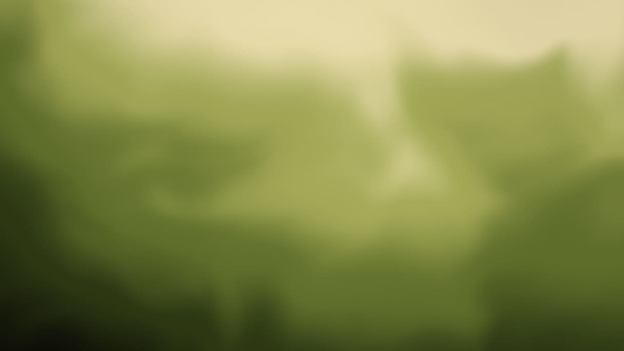 Мягкий уголь — Зелень